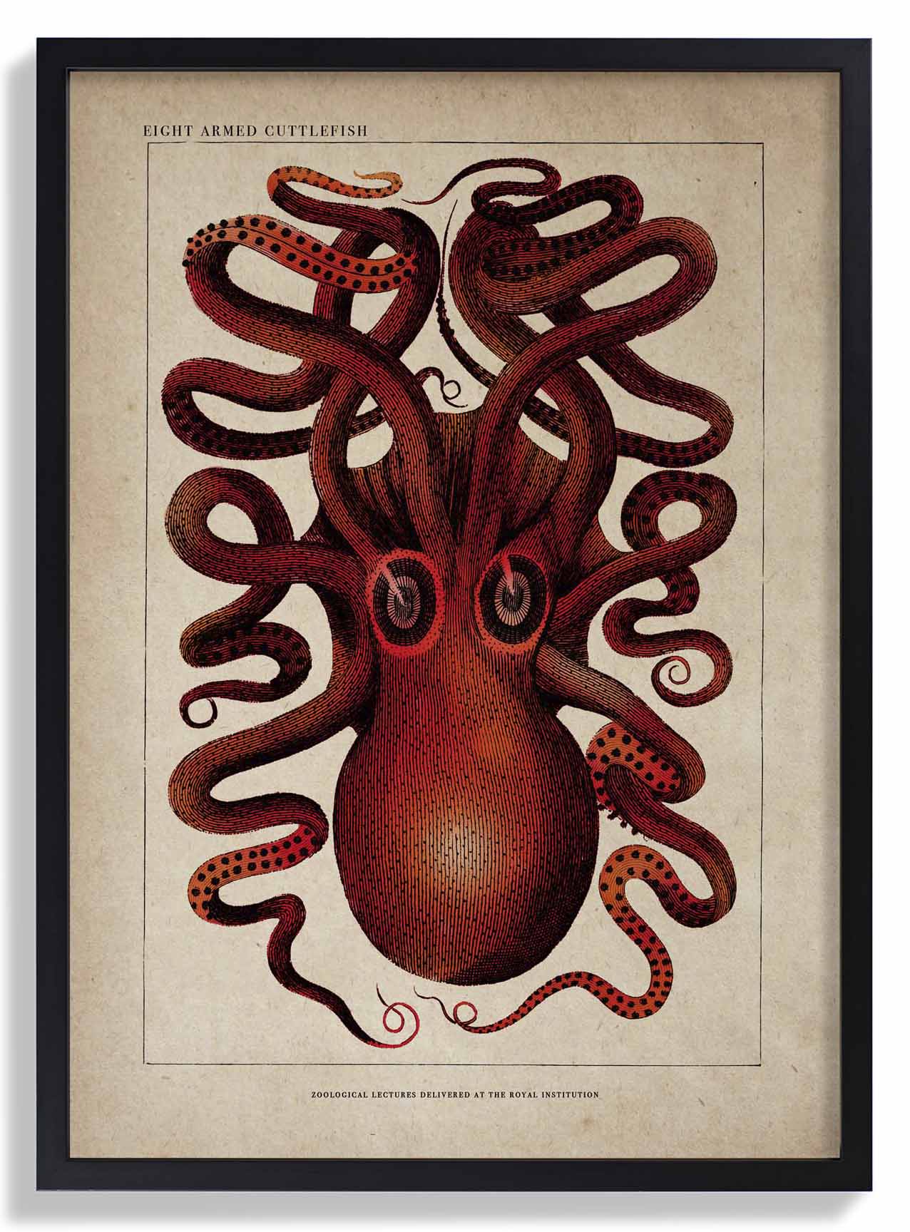 Antiker roter Oktopus