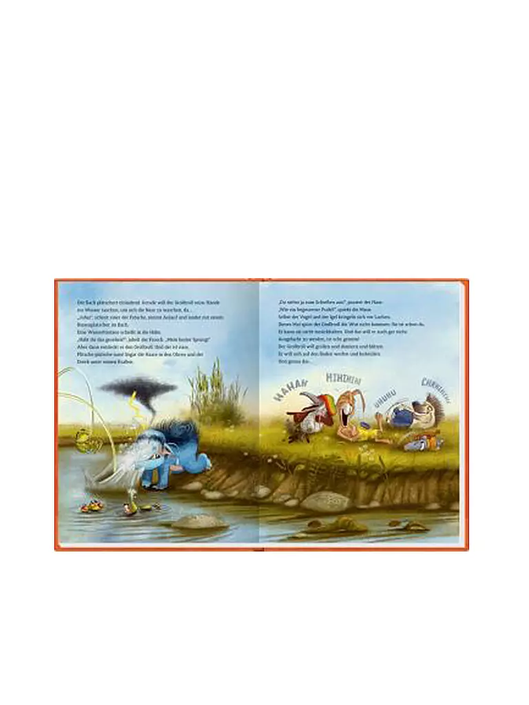 COPPENRATH VERLAG Buch - Der Grolltroll...Grollt heute nicht!? (Band 2) keine Farbe