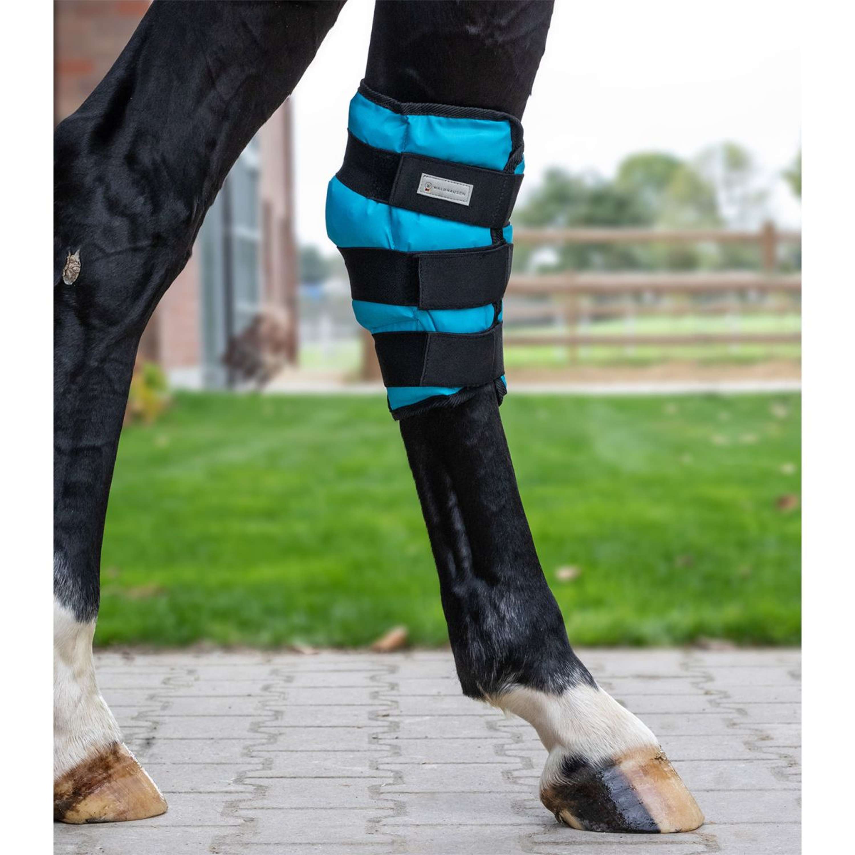 Waldhausen Health + Care Ice Boot Gel Spronggewricht Petrol