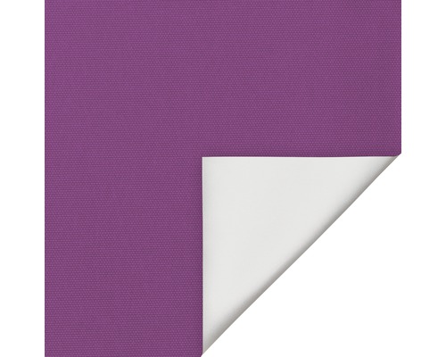 Lichtblick Thermo klemrolgordijn, geen boren nodig, fuchsia, 45x150 cm, inclusief klembeugels