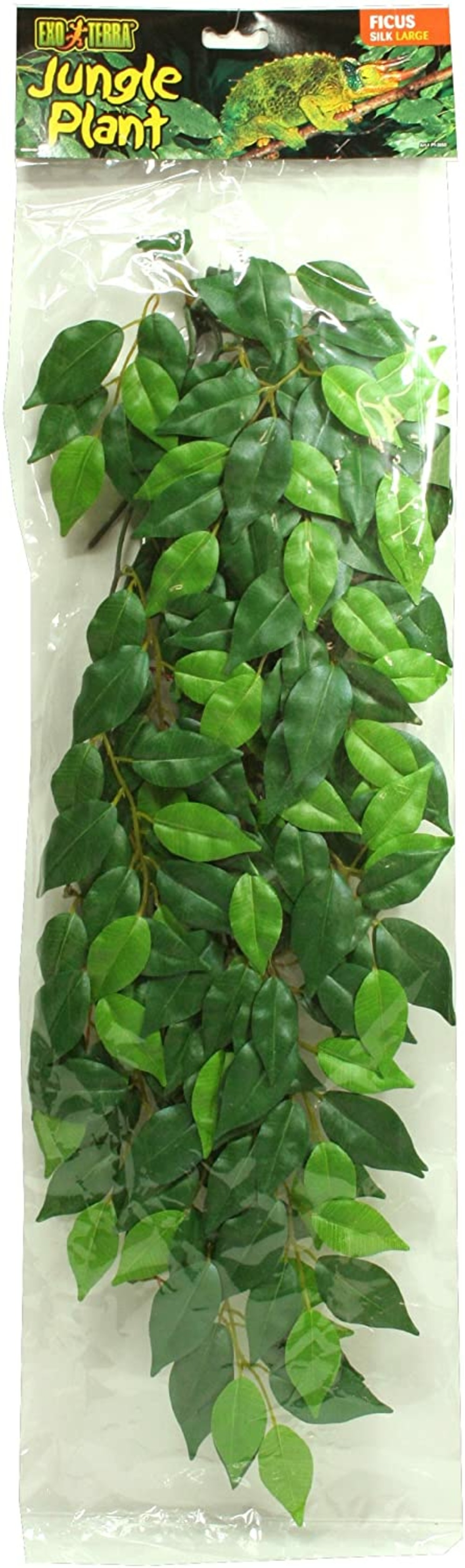 Feuillage ficus reptiles grand