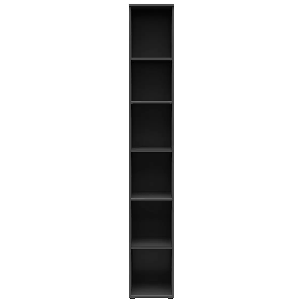 Regal 2T Cabinet Anthrazit