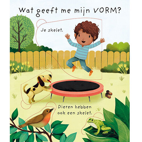 Uitgeverij usborne flapjesboek hoe zie ik er vanbinnen uit?