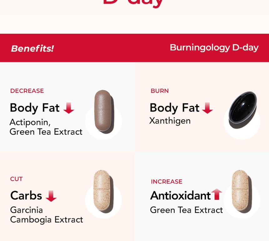 FOODOLOGY - Burningology D-Day Bundelset