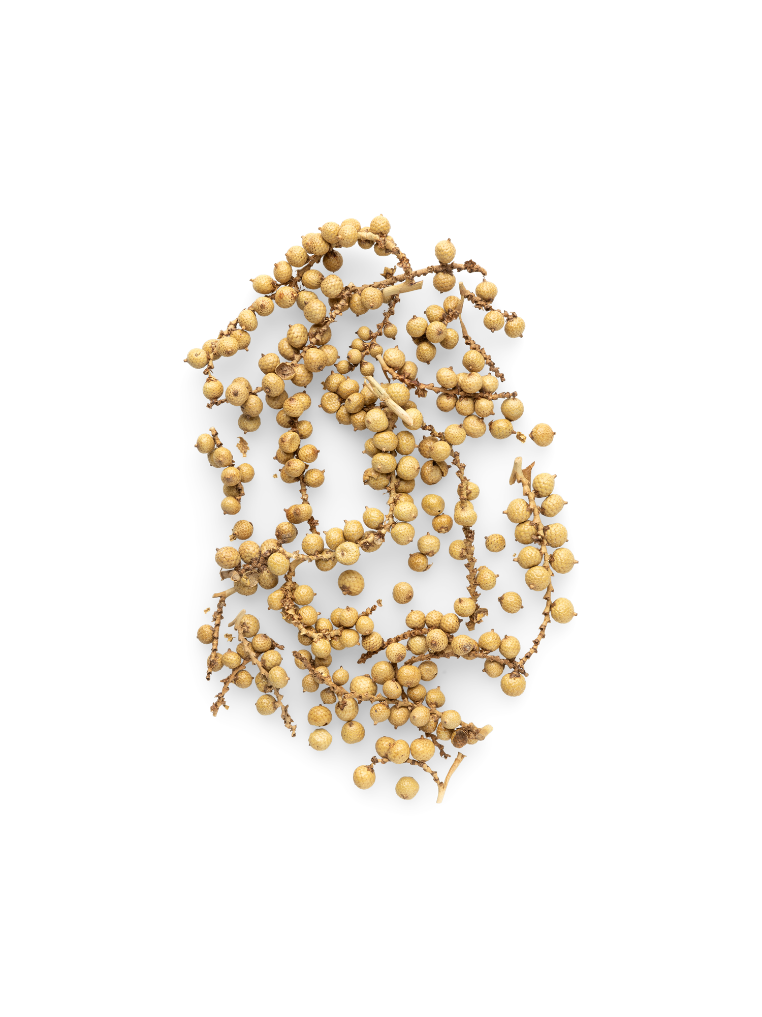 Dekorative peberfrugter | 40 g.  | Light Brown