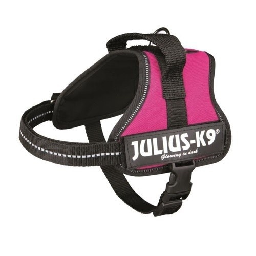 Coleira de Reforço Julius K-9 Fuchsia para Cães