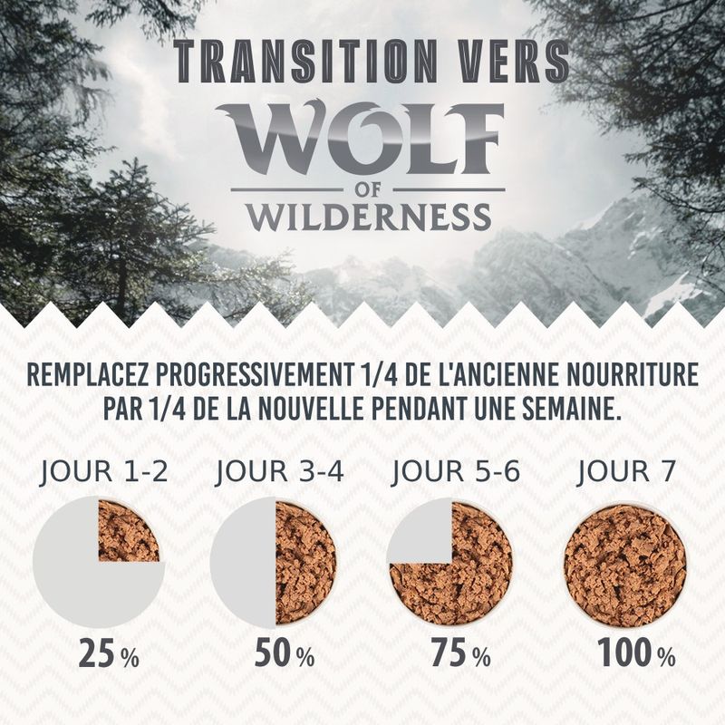 Wolf of Wilderness Junior “Expedition” 6 x 400 g