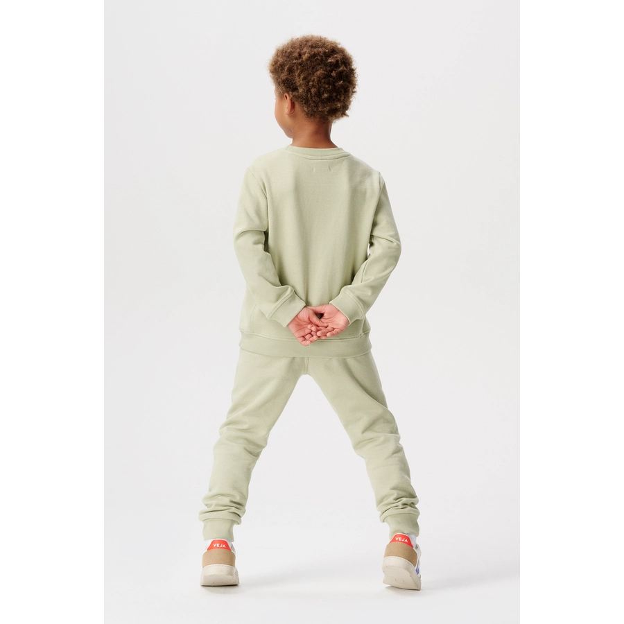 Noppies Pullover Delray Desert Sage