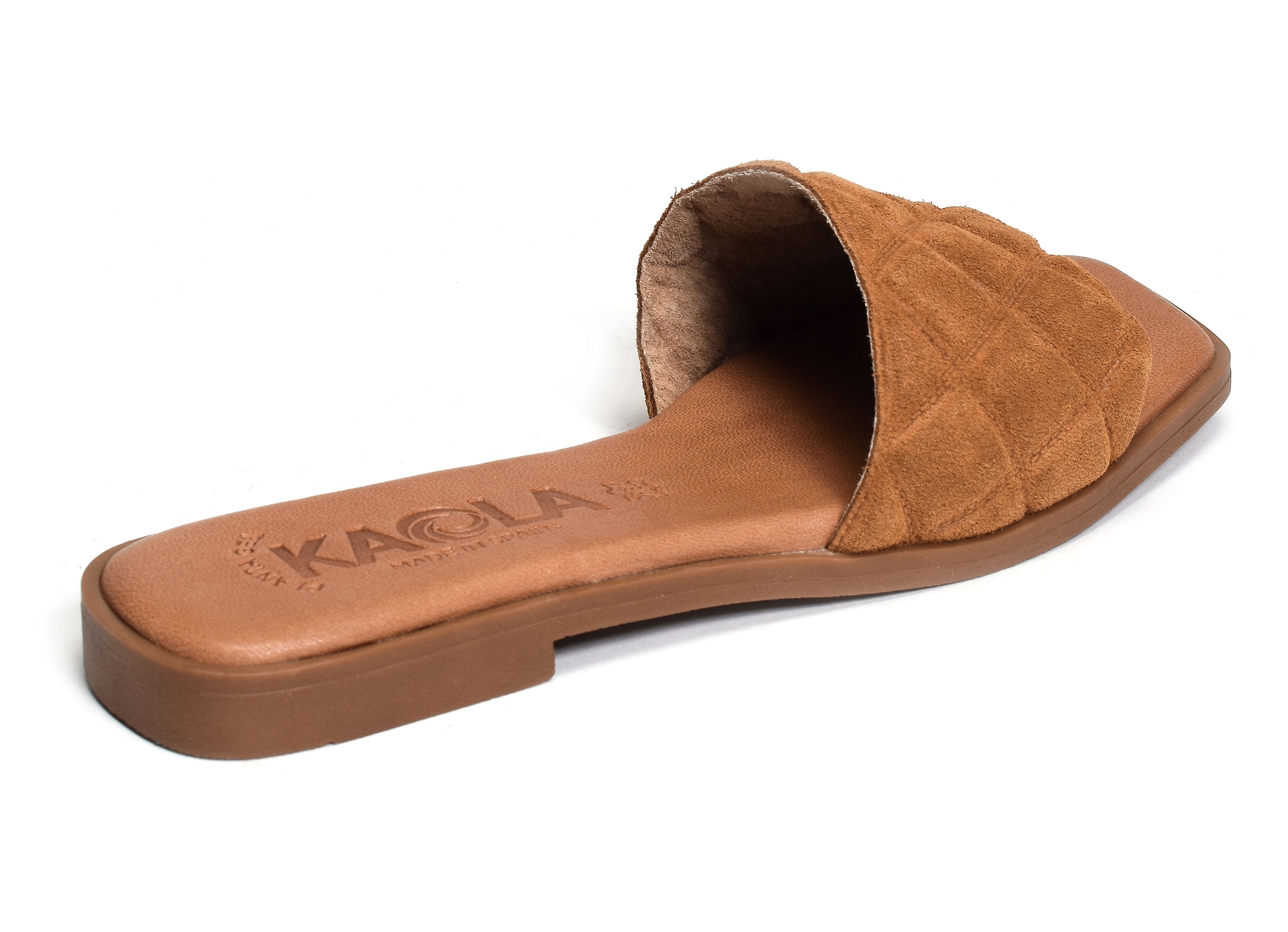 1601 camel