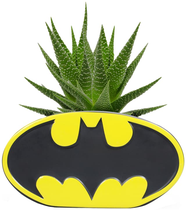 Play Batman urtepotte