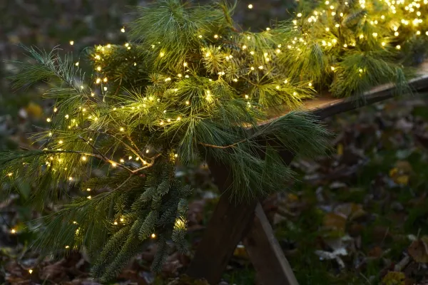 Sirius Knirke Lyskæde 200 LED - Klar/Grøn