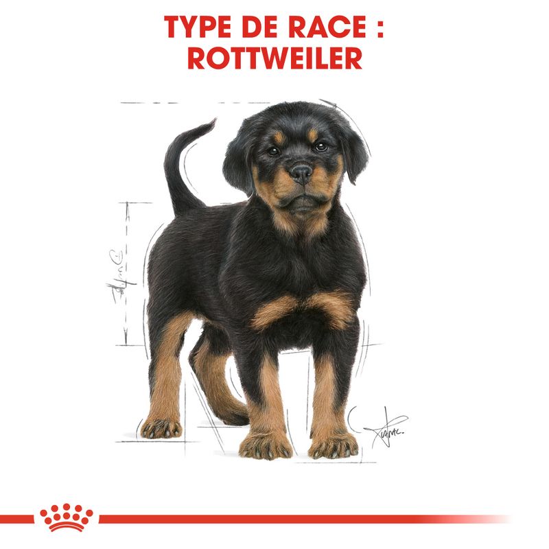 Royal Canin Rottweiler Puppy sur bitiba.fr