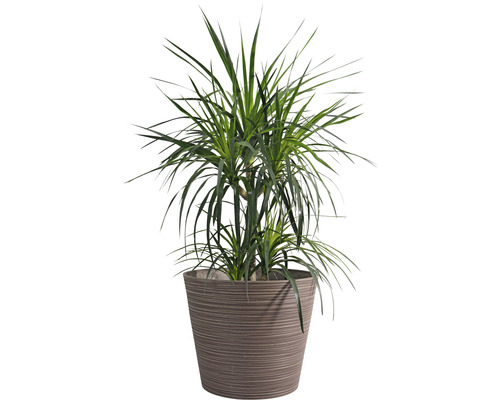 Lafiora geribbelde kunststenen plantenbak, Ø 60 cm, H 49 cm, bruin