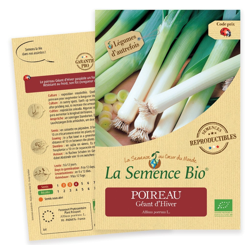 Poireau géant d'hiver bio