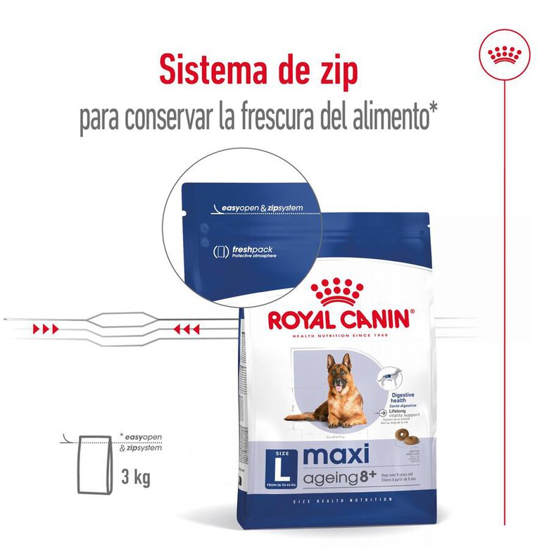 Ração Royal Canin Maxi Ageing para cães com mais de 8 anos