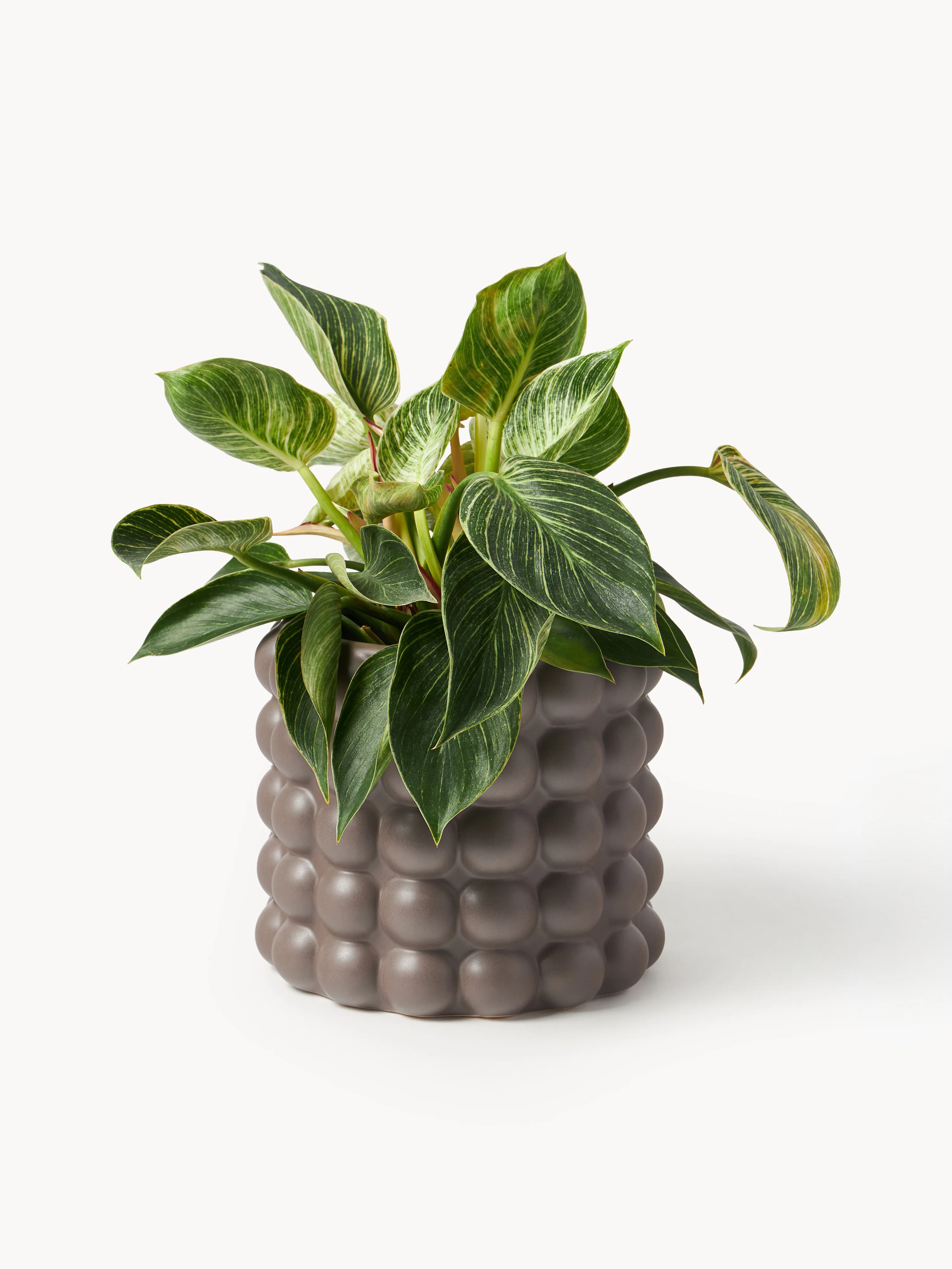 Plantenpot Bob van steengoed, H 18 cm