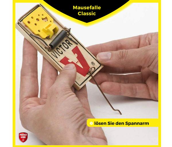 PROTECT HOME Mausefallen Classic, 2 Stk.