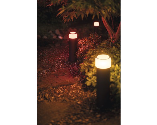 Philips Hue LED Sokkellamp Uitbreiding Calla White & Color Ambiance H 40 cm - Compatibel met SMART HOME van Hornbach