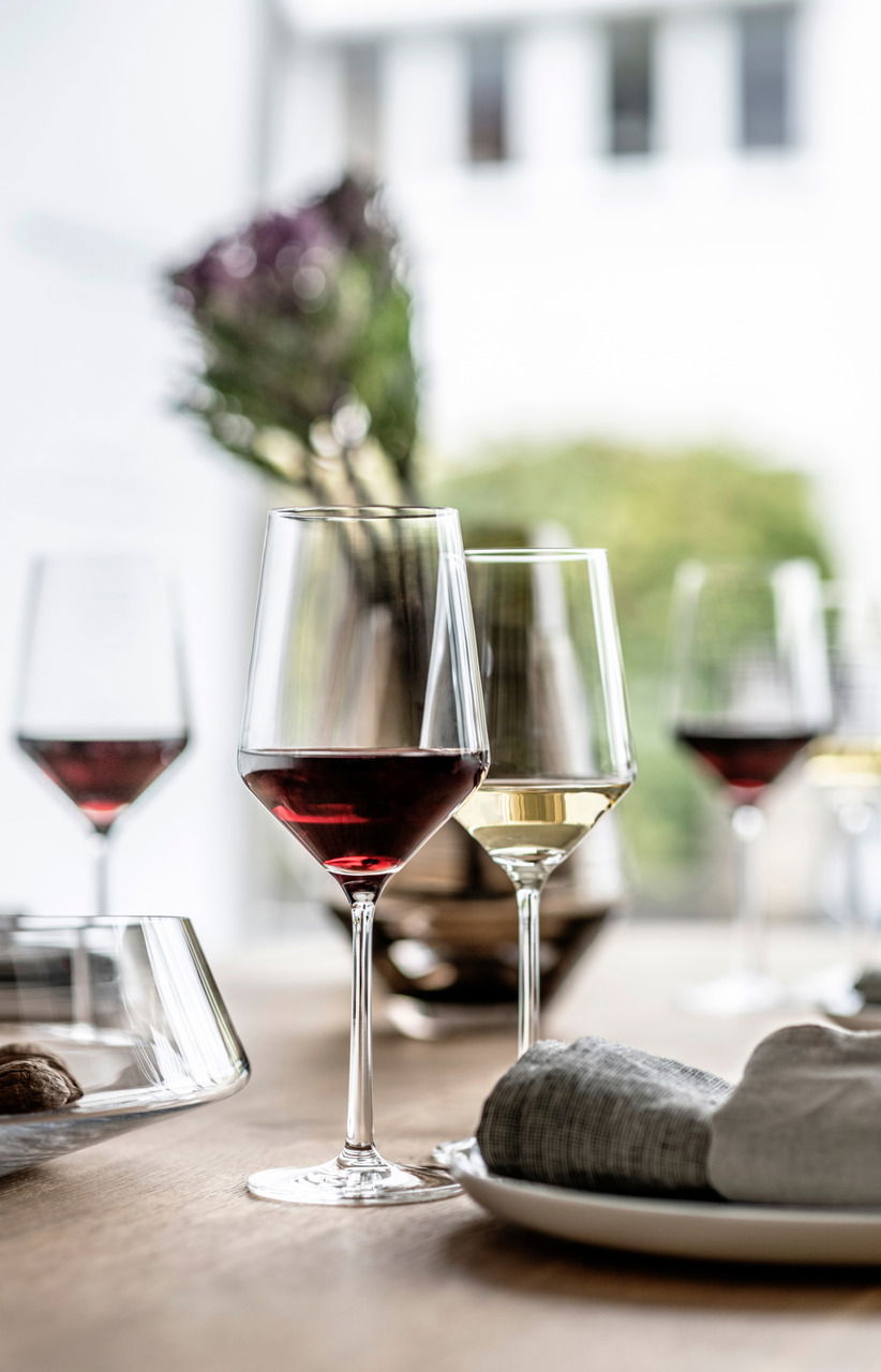 SCHOTT ZWIESEL Rotweinglas PURE