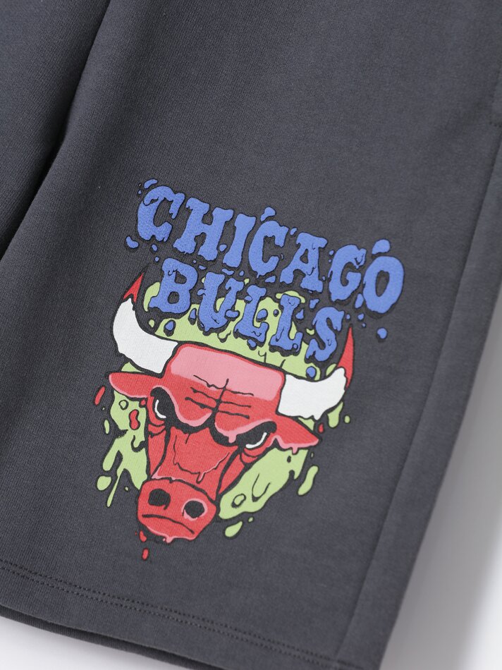Bermuda de lã polar do Chicago Bulls da NBA - Lead
