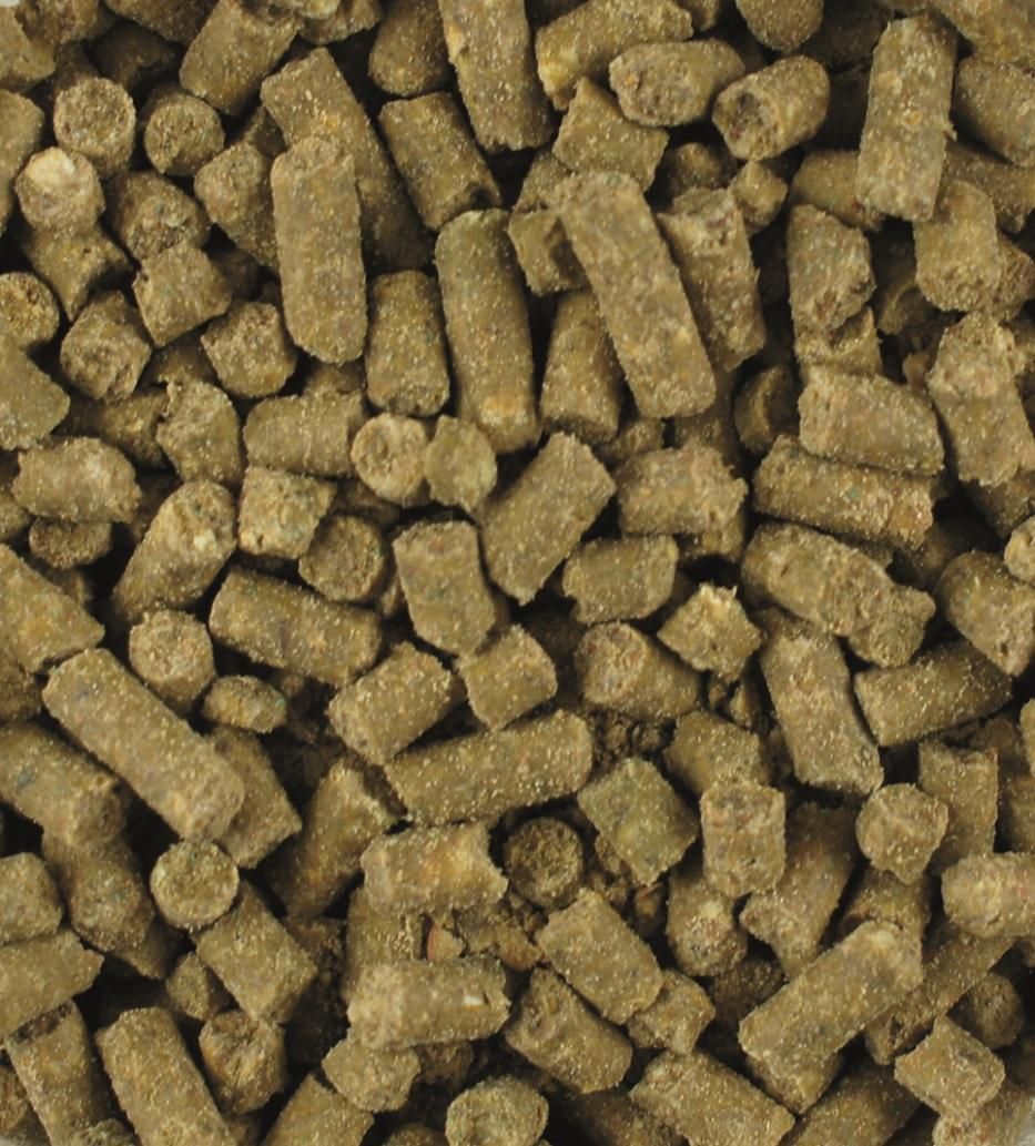LEXA Pferdefutter Biotin-Plus