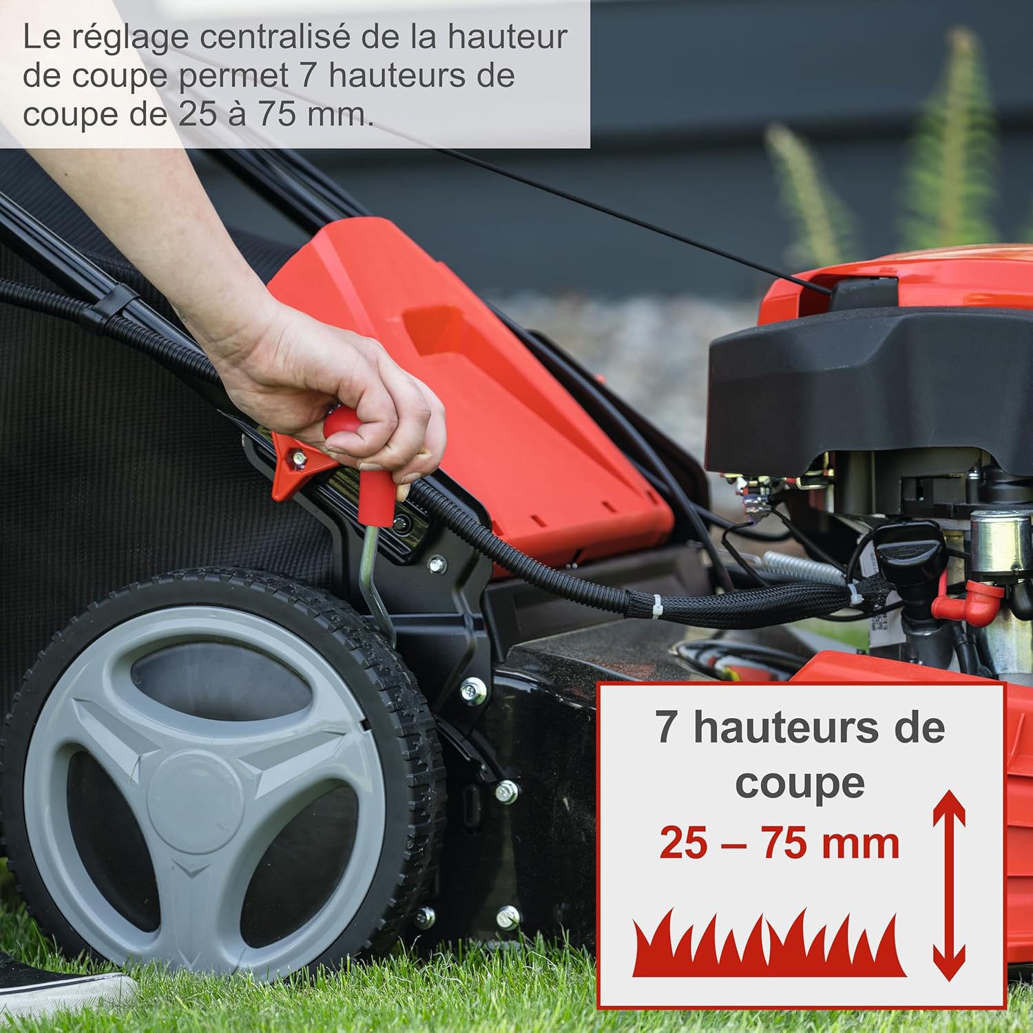 Scheppach Tondeuse à Gazon Hybride MS225-53E – Moteur 4 Temps 224 cm3 / 6 CV – 4400 W – Largeur de Coupe 53 cm – Démarrage électrique – Bac 65 L – Batteries, chargeurs, Huile Inclus