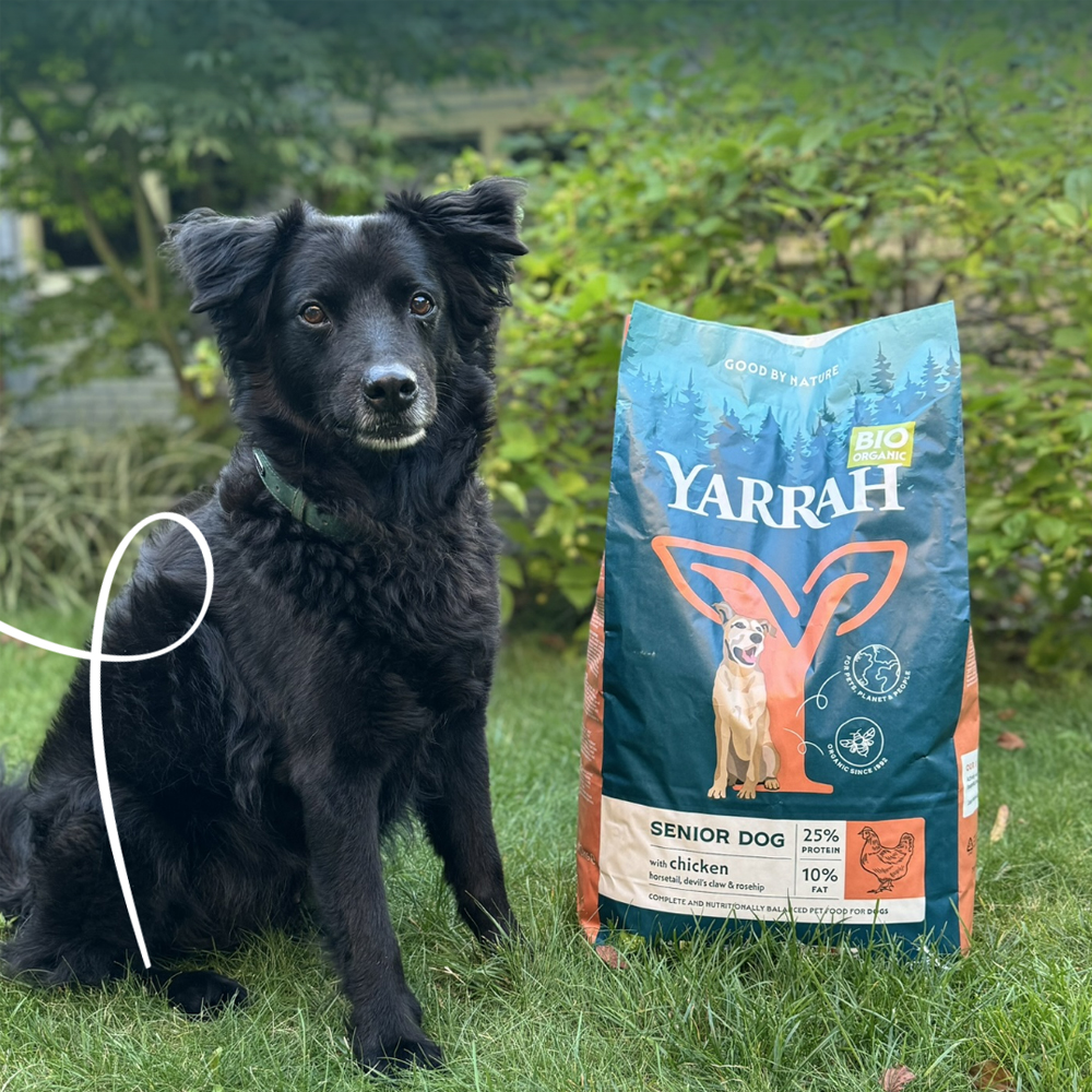 Yarrah -  Droogvoer Hond Senior Bio