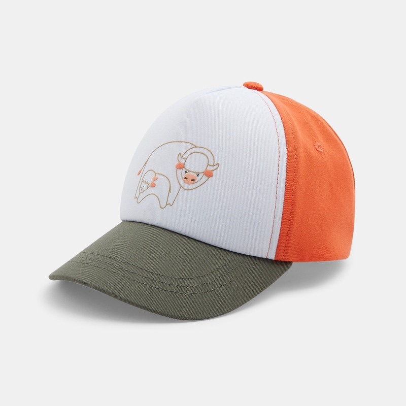 Casquette bicolore animaux orange bébé garçon