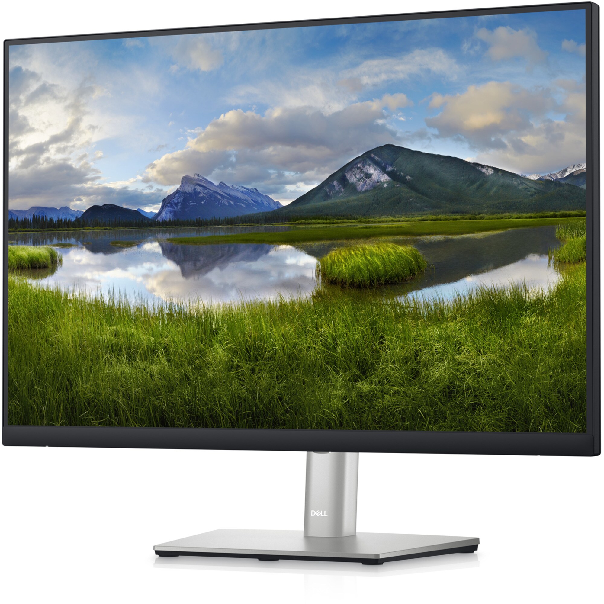 Dell LED-Monitor P2423