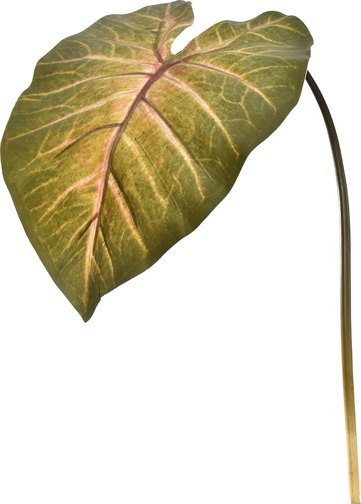 Jasaco kunsttak Caladium donker groen 113 cm