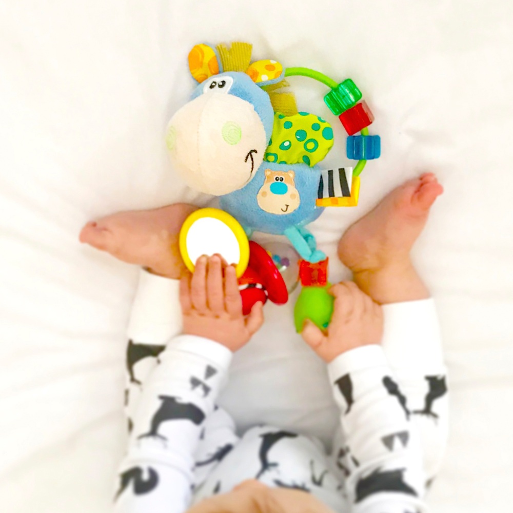 Playgro Clip Clop Aktivitätsrassel Blau