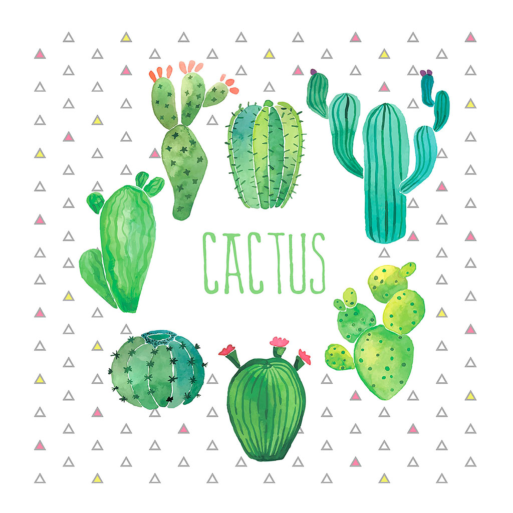 Lot de 20 serviettes papier ethnique et cactus 33x33cm