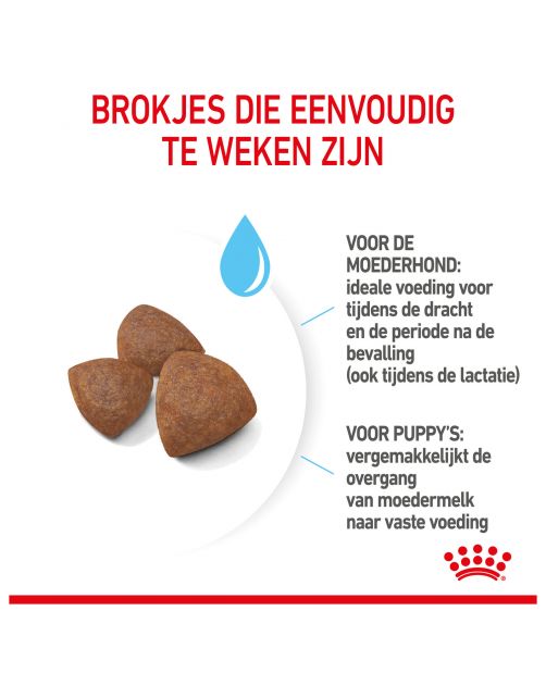 Royal Canin Medium Starter Mother & Babydog - Puppy-Hondenvoer