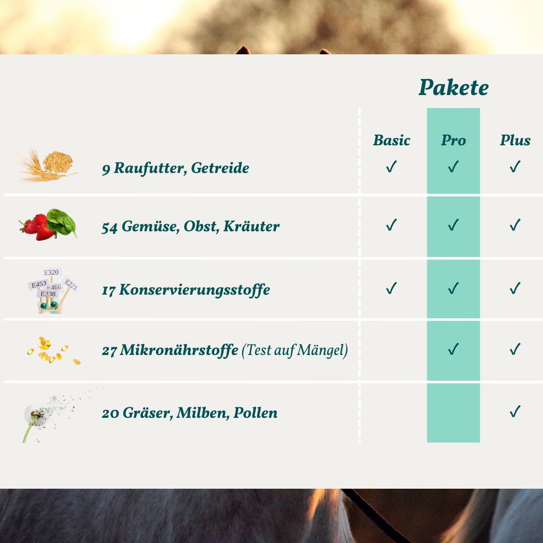 Allergietest Pro Pferd