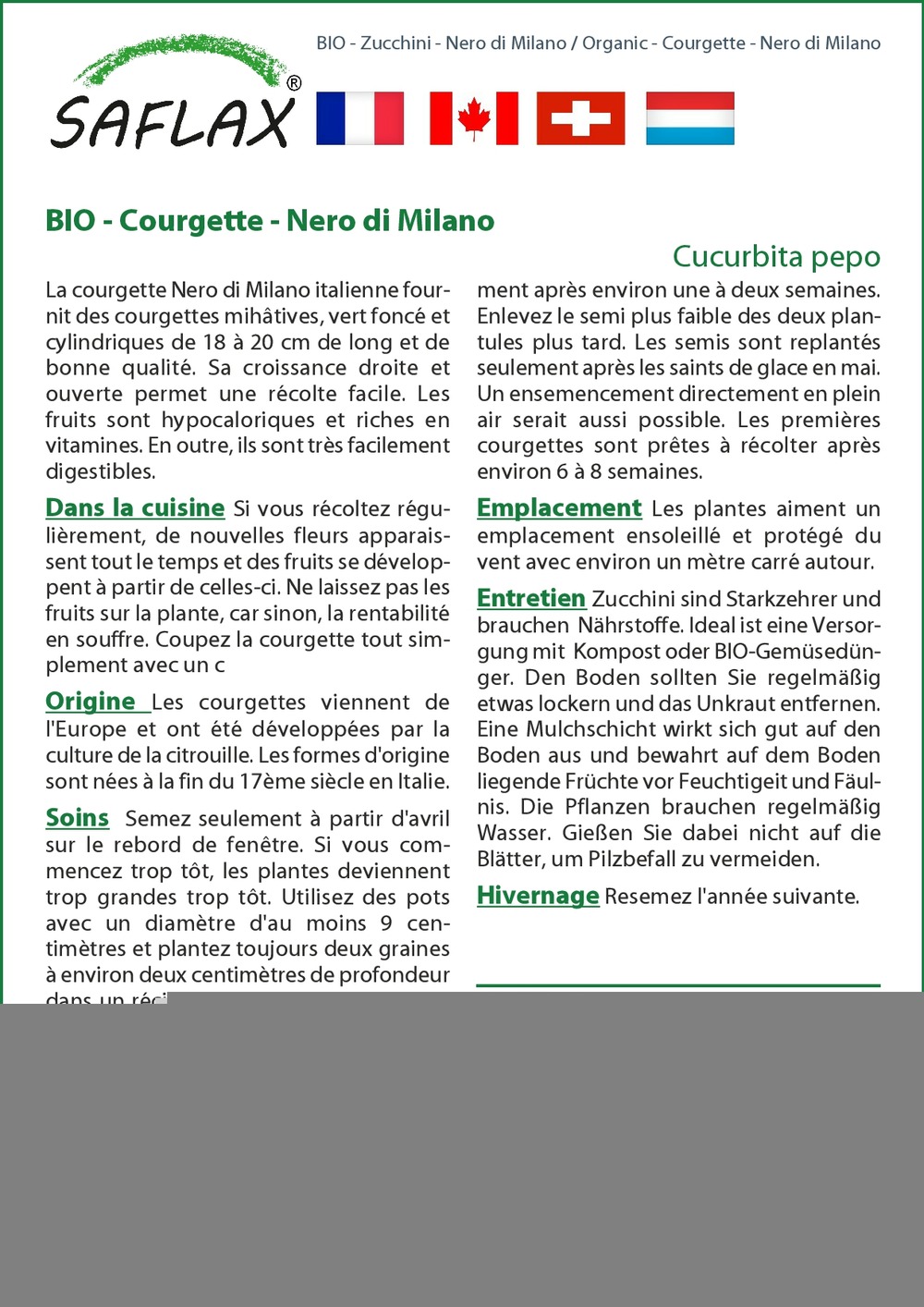 Bio - courgette - nero di milano - 6 graines - cucurbita pepo