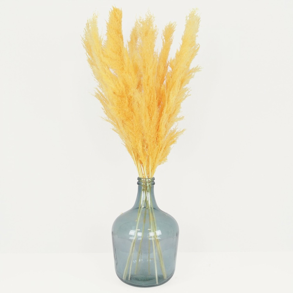 Plumeau plante pampa jaune 110cm lot de 9