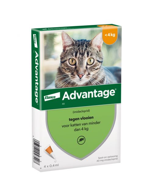Advantage Kat 4 pip - Anti vlooienmiddel