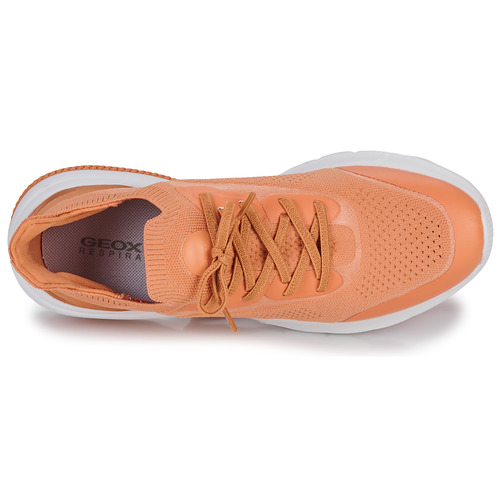 Geox - D SPHERICA ACTIF - Pêche