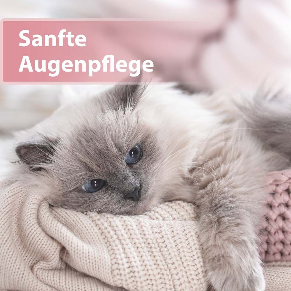 Felisept® Augenpflege-Pads für Katzen