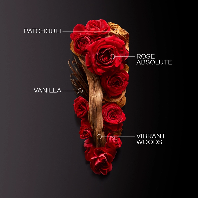 Shiseido Ginza Intense EDP 30 ml