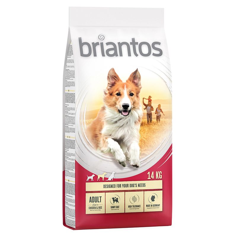 Briantos Adult, poulet & riz