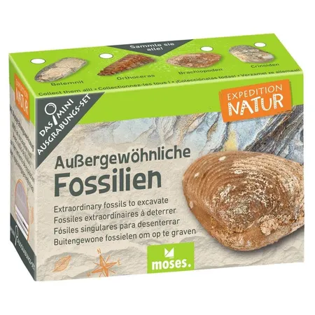 moses. Expedition Natur Mini-Ausgrabungsset, 1 Stück, sortiert