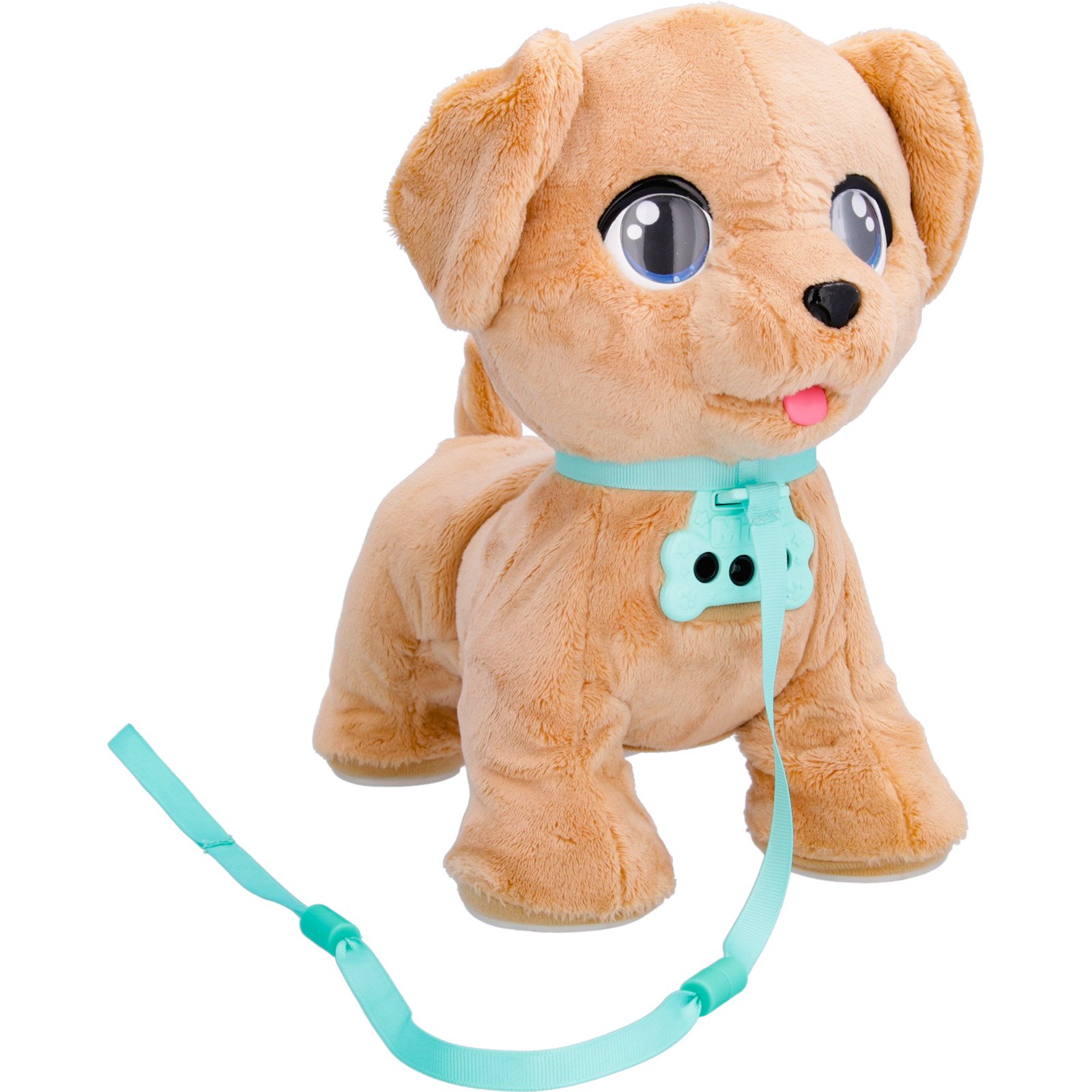 Club Petz Milo
