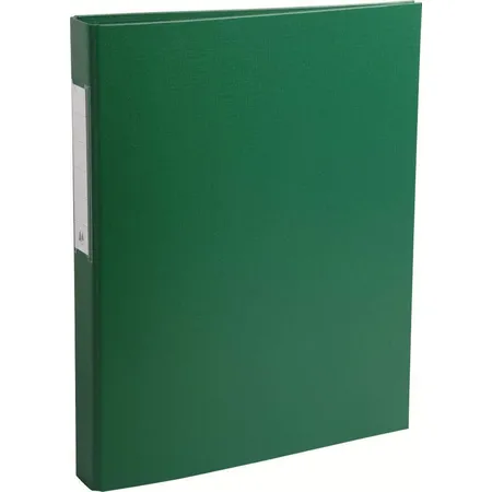 Exacompta 54383E Ringbuch, grün