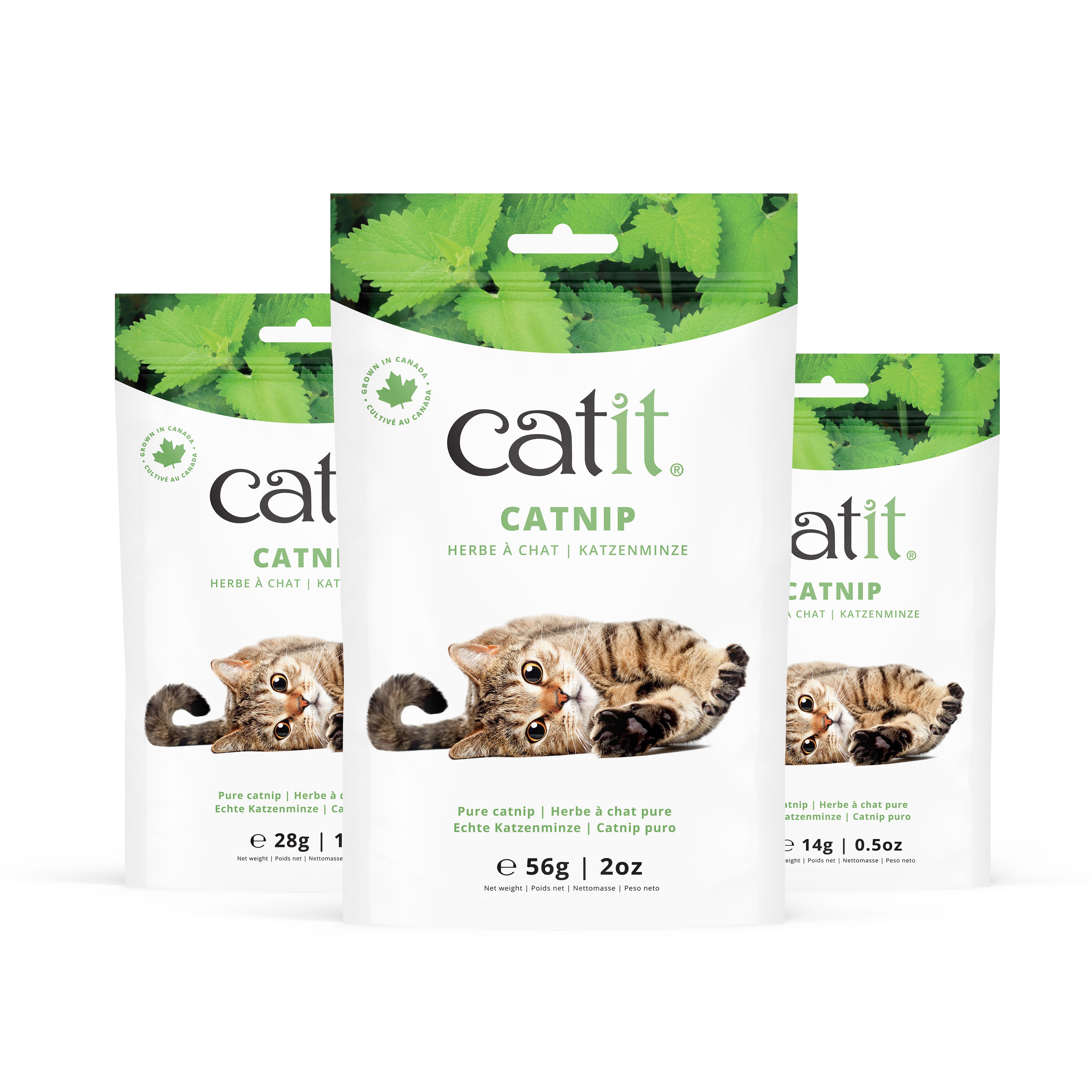 Saco Catit Catnip, 14g - Ref. 44770