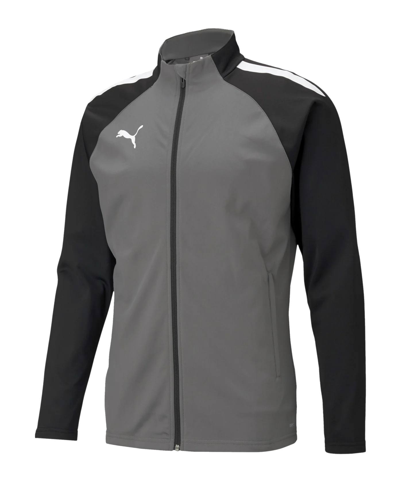 PUMA teamLIGA Trainingsjacke Grau Schwarz F13