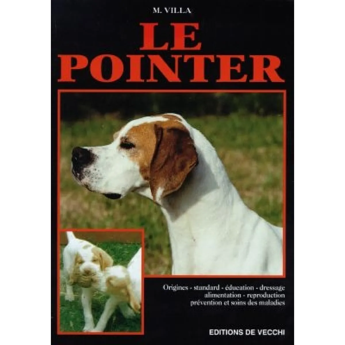 Le pointer · Occasion