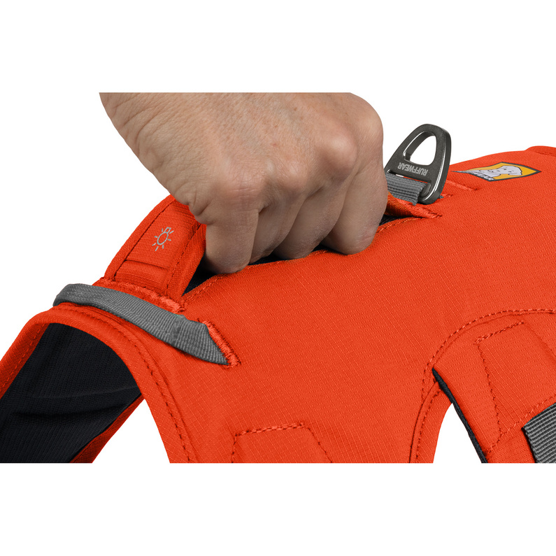 Ruffwear Web Master Hundegeschirr