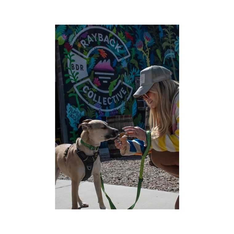 OllyDog Flagstaff Adj Leash