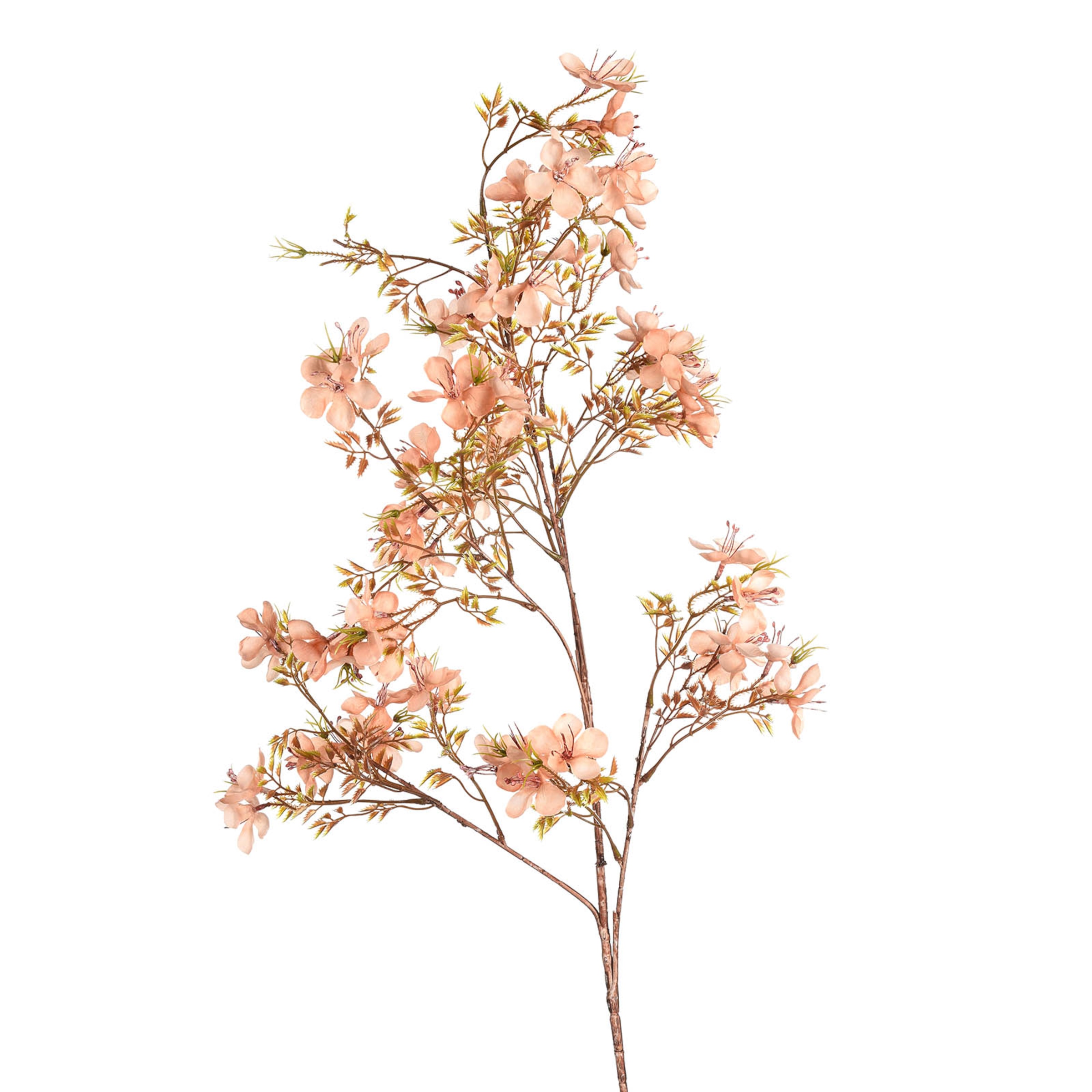 pfirsich, L 103 cm